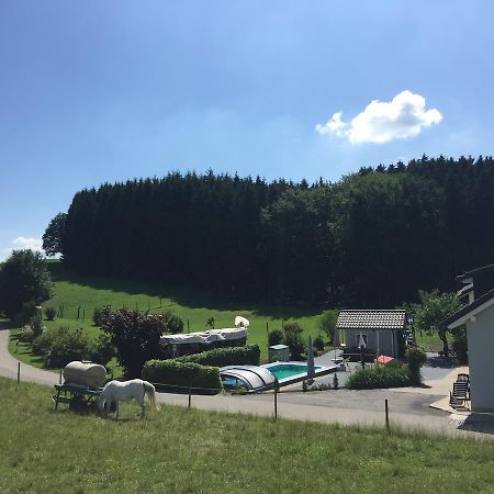 Hafners Im Allgaeu Kißlegg Exteriör bild